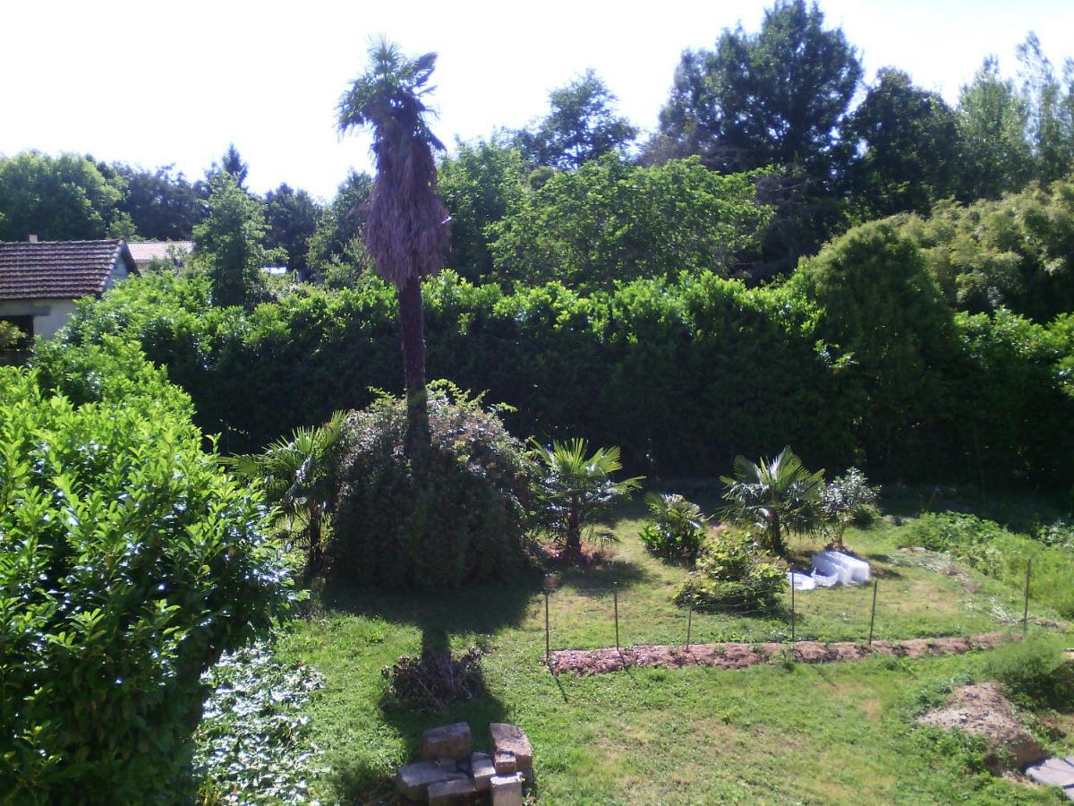 L'Ancien Patronage Guest House Caumont-sur-Garonne Exterior photo
