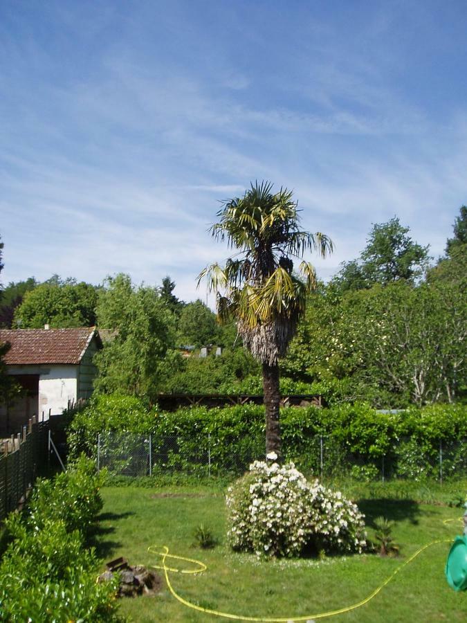 L'Ancien Patronage Guest House Caumont-sur-Garonne Exterior photo
